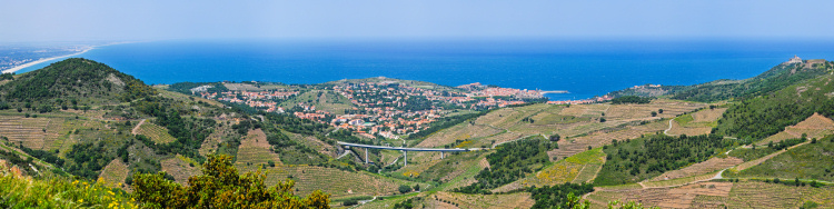 Blick ber die Cote
                                          Vermeille von Argeles Plage,
                                          Collioure, St.Elme,
                                          Roussillon, Sdfrankreich