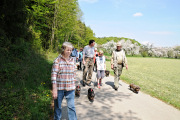 Dackelwanderung
                                                  4.05.2008