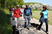 Dackelwanderung
                                                  4.05.2008