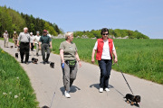 Dackelwanderung
                                                  4.05.2008