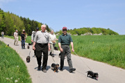 Dackelwanderung
                                                  4.05.2008