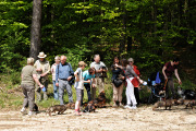 Dackelwanderung
                                                  4.05.2008