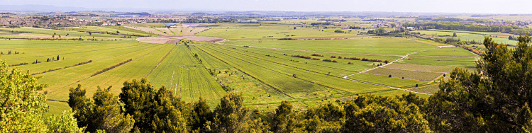 Auf dem Oppidum d'Enserune ein H�gel 5 km s�d�stlich Beziers, Rousillon, S�dfrankreich