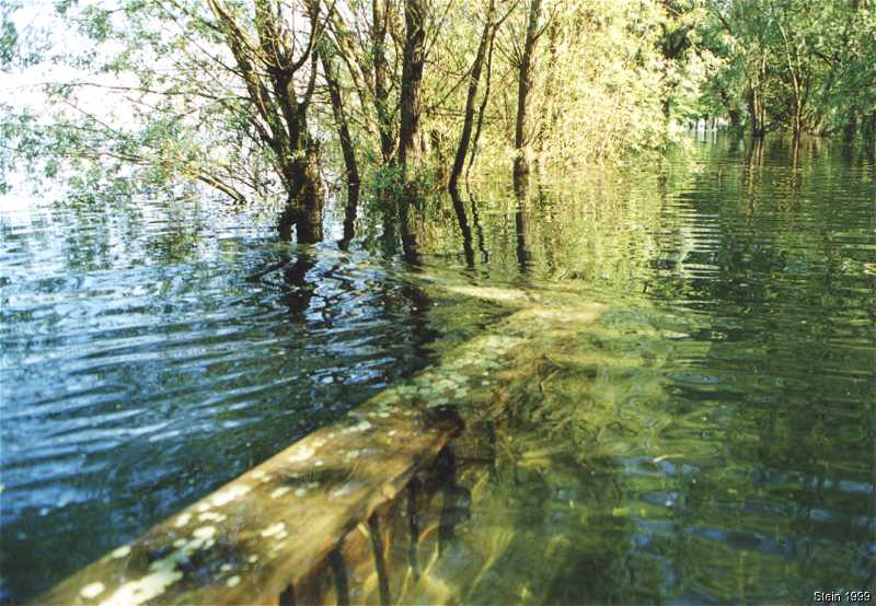 Brcke beim Turnerheim