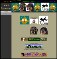 link-icon