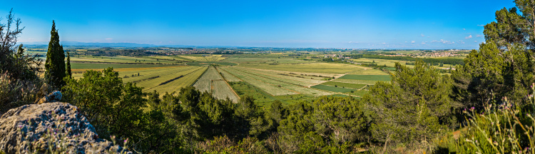 Auf dem Oppidum
                                          d'Enserune ein Hgel 5 km
                                          sdstlich Beziers, Rousillon,
                                          Sdfrankreich